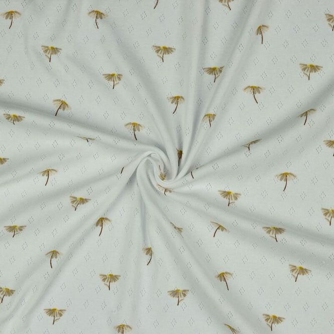 Hovedbilde Pointoille Daisy White